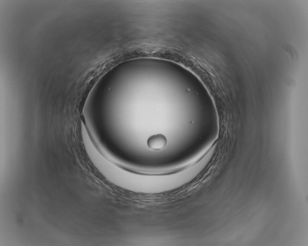 X0000112481349200908311402