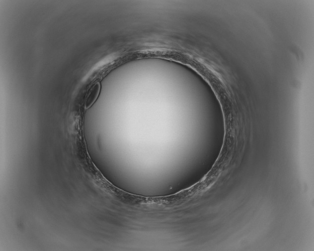 X0000112481351200908311402