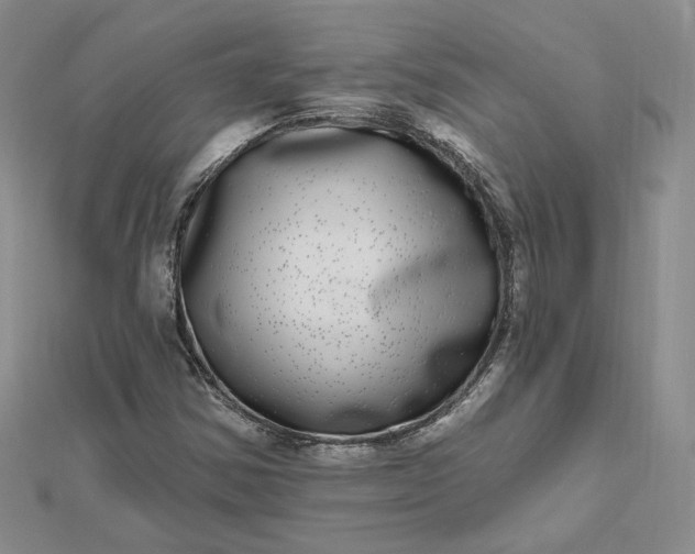 X0000112481354200908311402