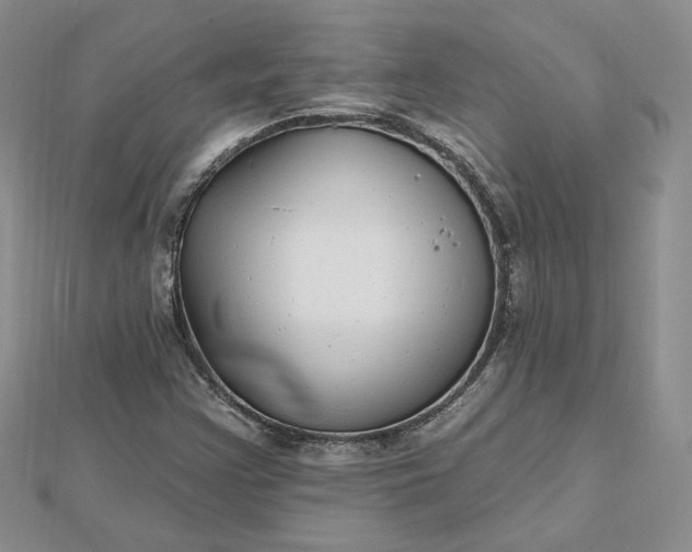 X0000112481355200908311402