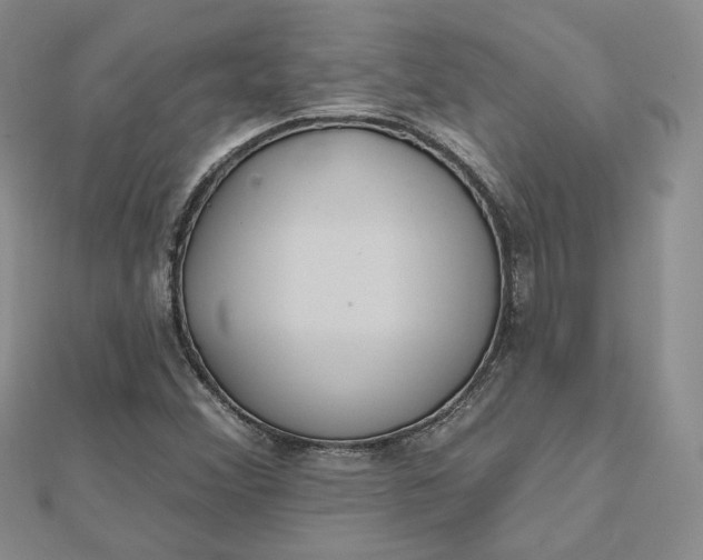 X0000112481356200908311402