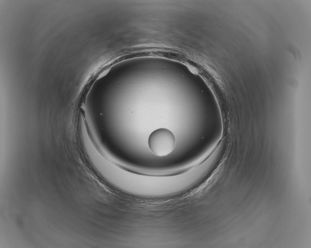 X0000112481357200908311402