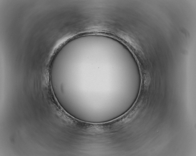 X0000112481358200908311402