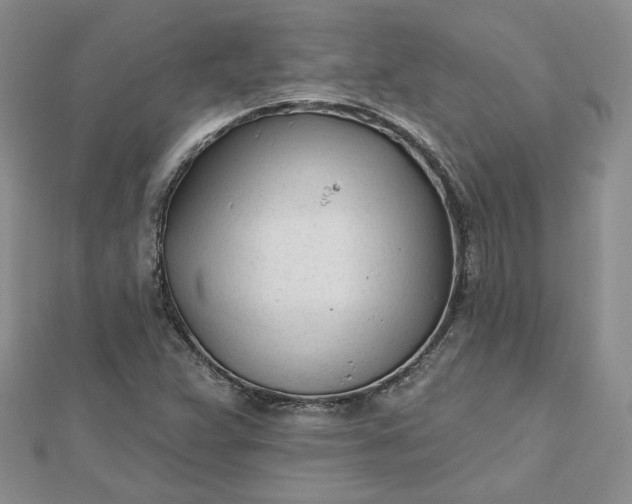 X0000112481359200908311402