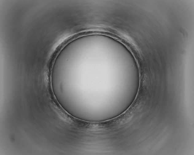 X0000112481360200908311402