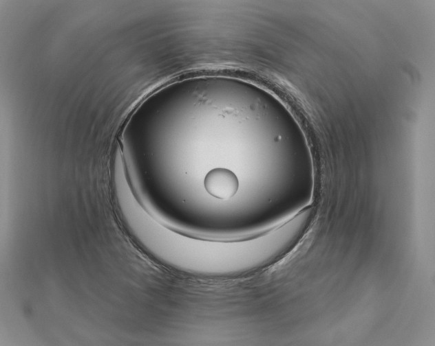 X0000112481361200908311402