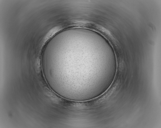 X0000112481362200908311402