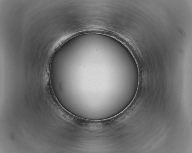 X0000112481363200908311402