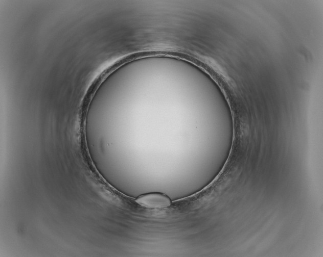 X0000112481364200908311402