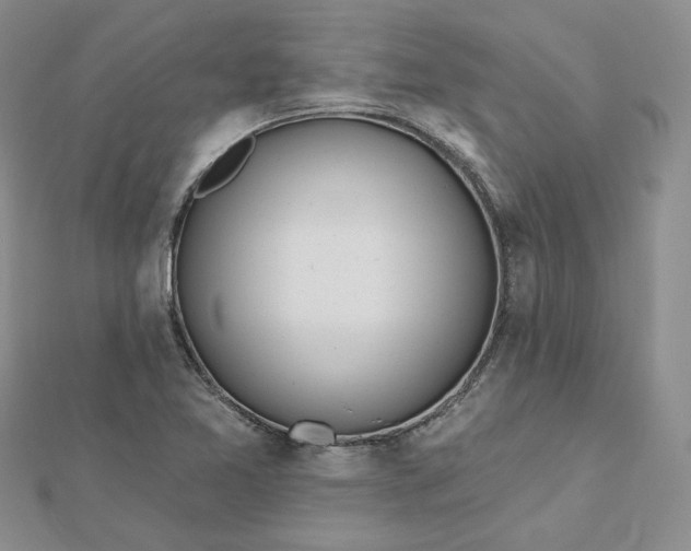 X0000112481365200908311402