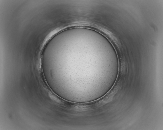 X0000112481366200908311402