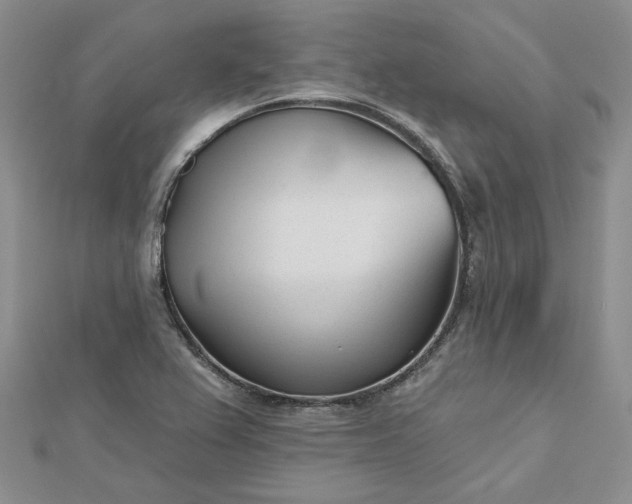 X0000112481367200908311402