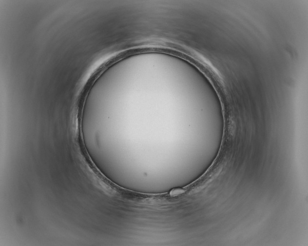 X0000112481368200908311402