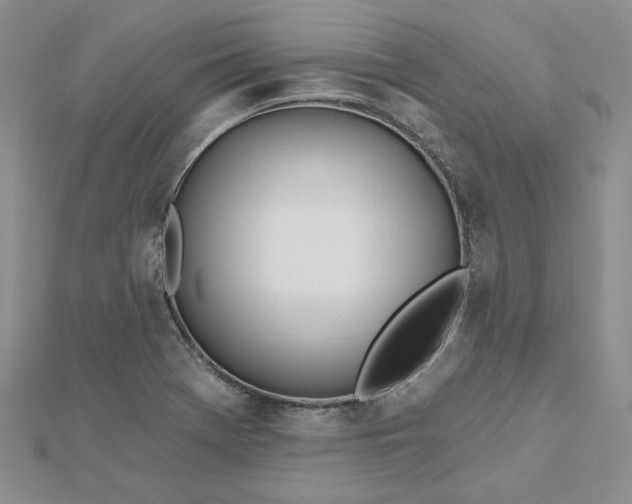 X0000112481369200908311402