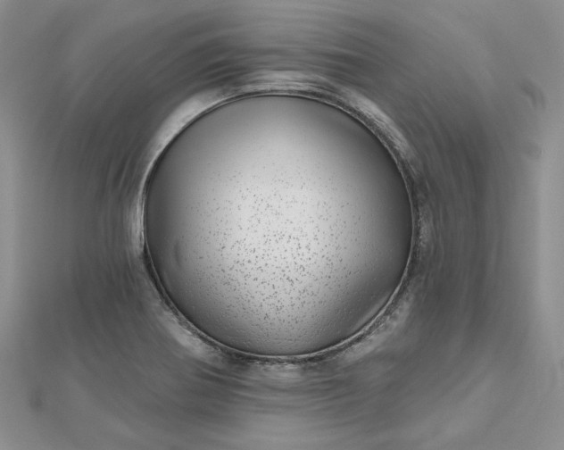 X0000112481370200908311402