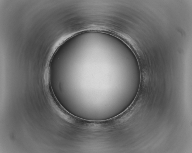 X0000112481371200908311402