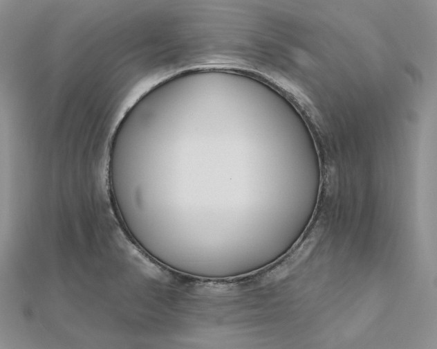 X0000112481374200908311402