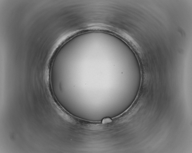 X0000112481376200908311402