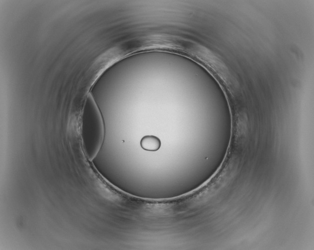 X0000112481377200908311402