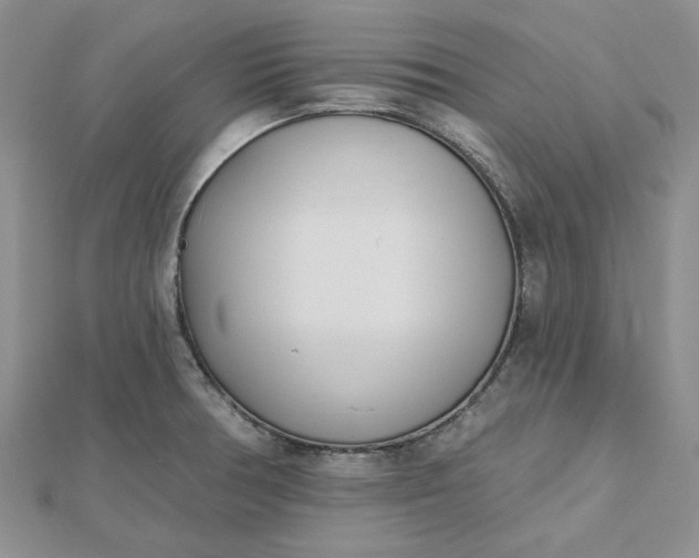 X0000112481378200908311402