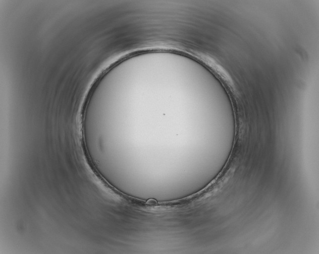 X0000112481380200908311402