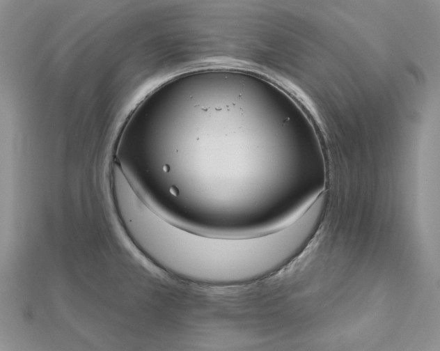 X0000112481381200908311402