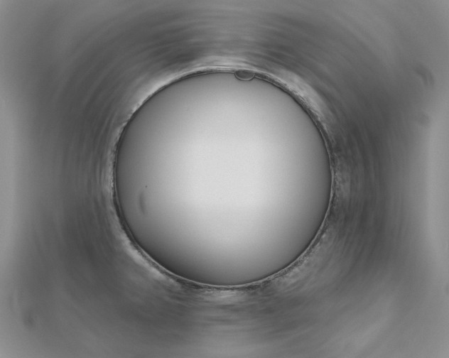 X0000112481382200908311402