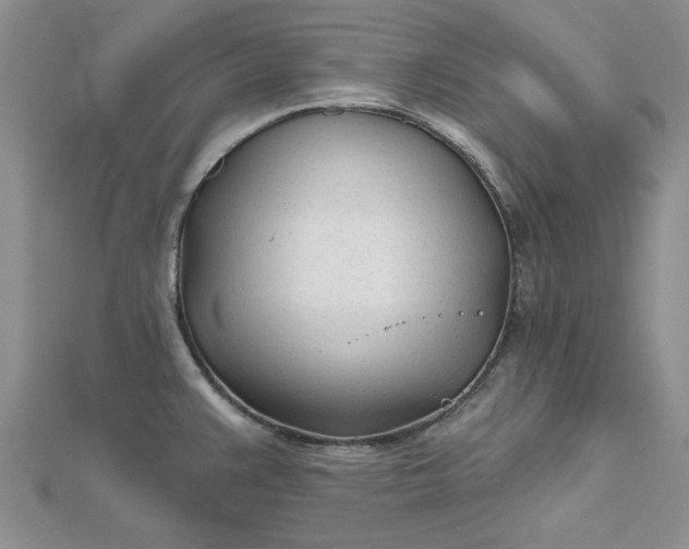 X0000112481383200908311402