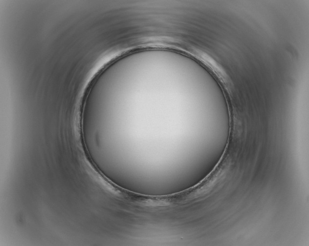 X0000112481384200908311402