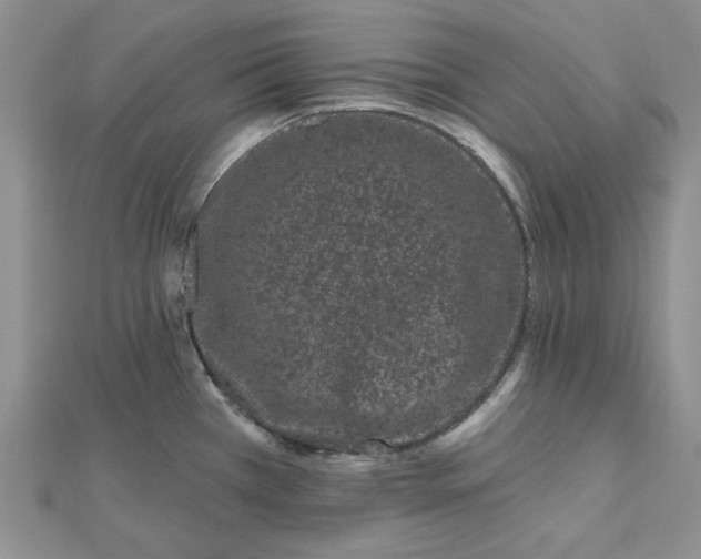 X0000112481385200908311401