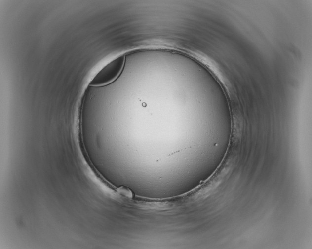 X0000112481387200908311401