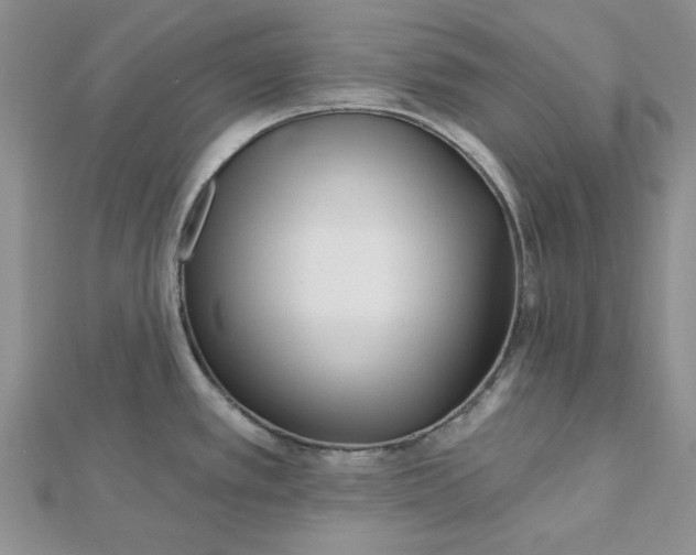 X0000112481389200908311401