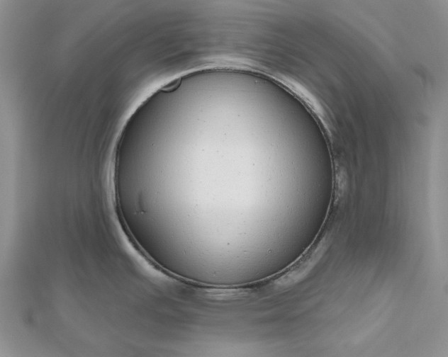 X0000112481391200908311401