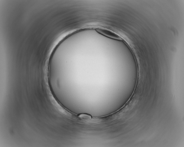 X0000112481392200908311401