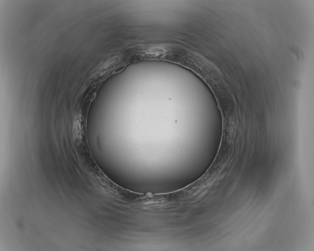 X0000112481394200908311401