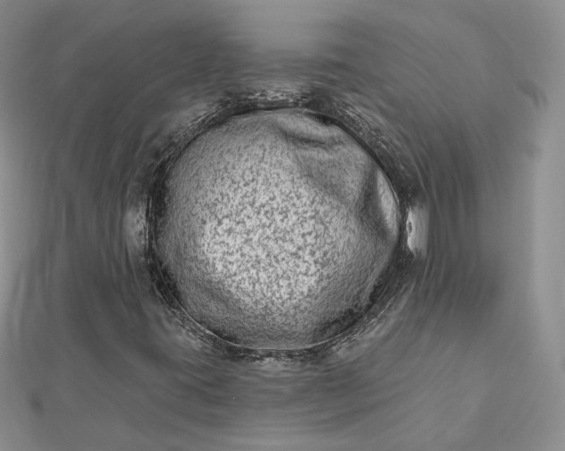 X0000112481395200908311401