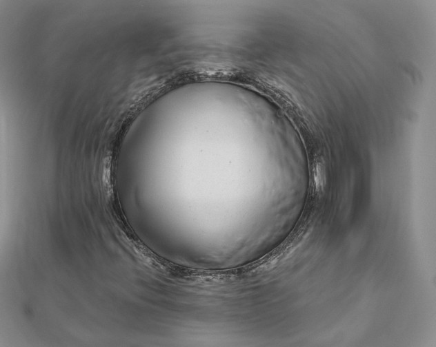 X0000112481396200908311401