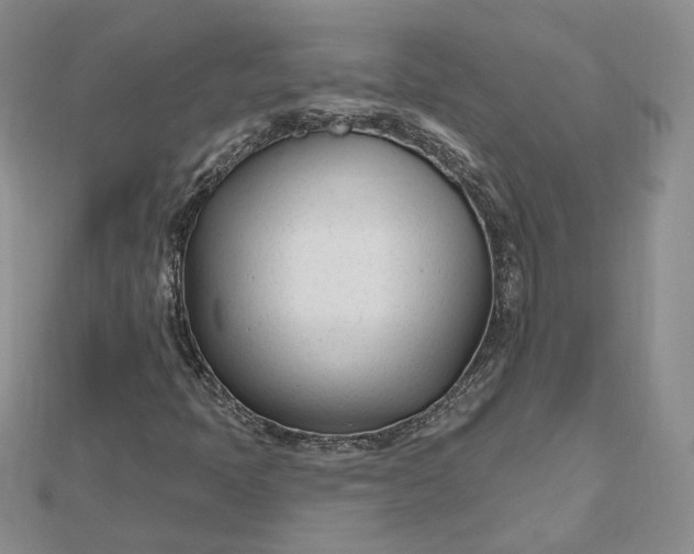 X0000112481397200908311401