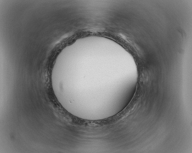 X0000112481398200908311401