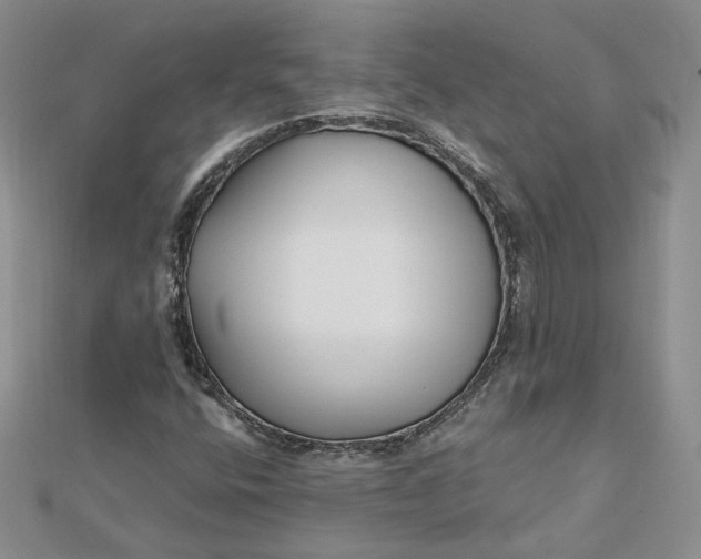 X0000112481400200908311401