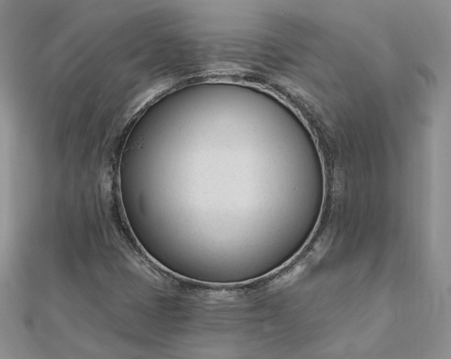 X0000112481401200908311401