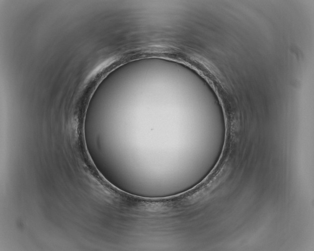 X0000112481402200908311401