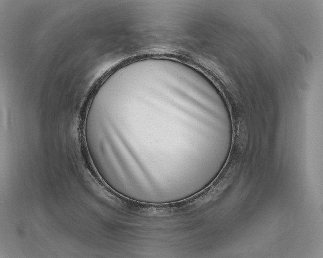 X0000112481404200908311401