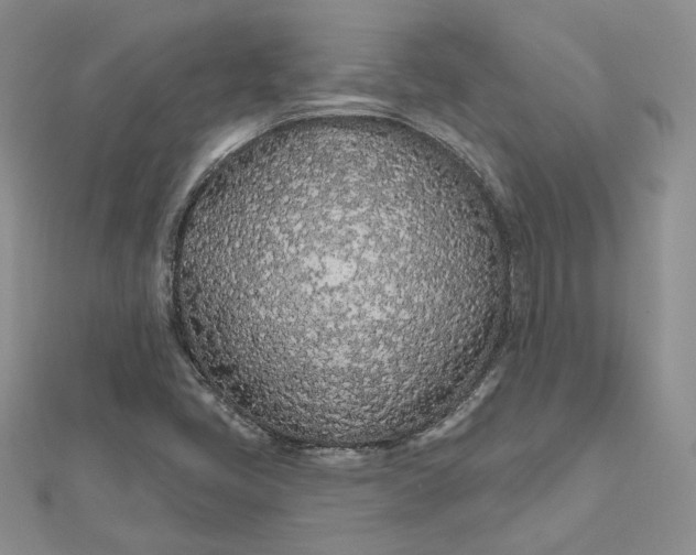 X0000112481405200908311401