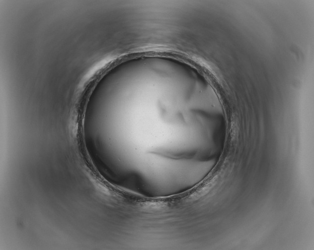 X0000112481406200908311401