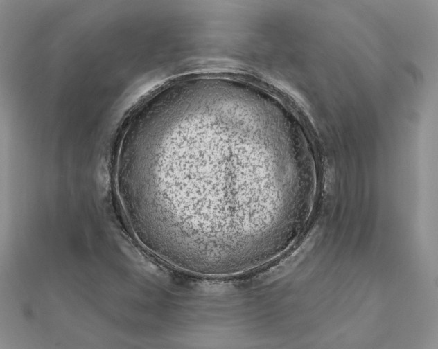 X0000112481407200908311401