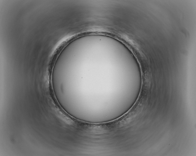 X0000112481408200908311401