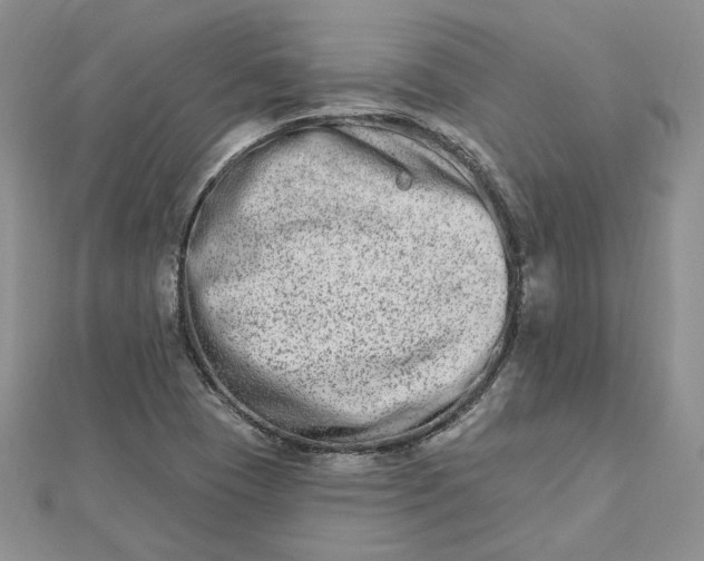 X0000112481409200908311401