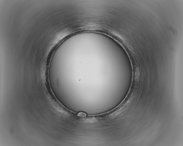 X0000112481410200908311401