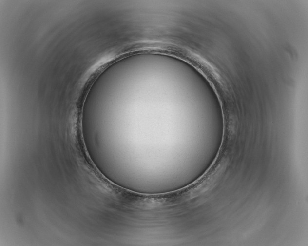 X0000112481411200908311401